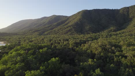 Panorama-Of-Mountains-And-Tropical-Forest-In-Summer-Between-Cairns-and-Port-Douglas-In-North-Queensland,-Australia