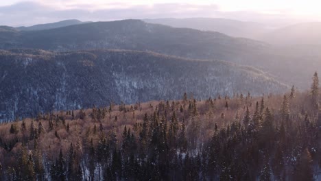 Forward-moving-drone-establishing-shot-of-snowy-forest,-winter-sunrise-in-Quebec,-Canada