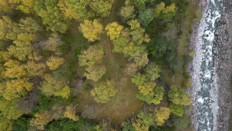 Hermoso-Bosque-En-Colores-Otoñales-Filmado-Con-Un-Dron-Desde-Arriba