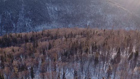 Dynamic-tilt-down-and-reveal-of-snowy-valley-and-river,-winter-forest-in-Jacques-Cartier-National-Park-Quebec-Canada