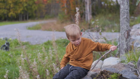 Full-shot-of-child-boy-playing-with-sticks-and-collecting-moss-playing-outdoors