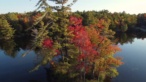 Drohne-Fliegt-über-Einen-Wunderschönen-See-Und-Baumwipfel-Im-Kanadischen-Wald