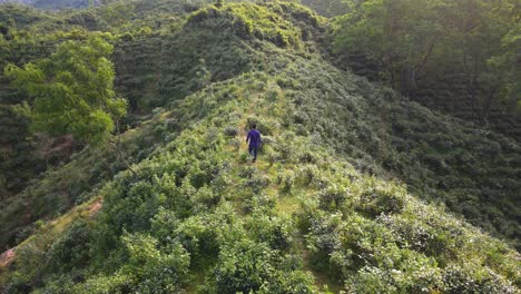 Man-walks-across-top-of-bush-covered-hill-on-a-sunny-afternoon-in-Khadimnagar-National-Park