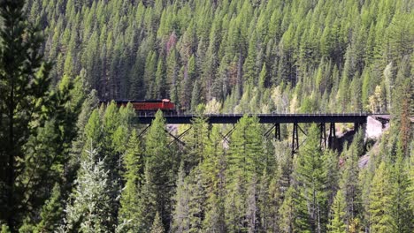 Western-Montana-a-train-rides-on-a-trestle-in-above-the-tree-line
