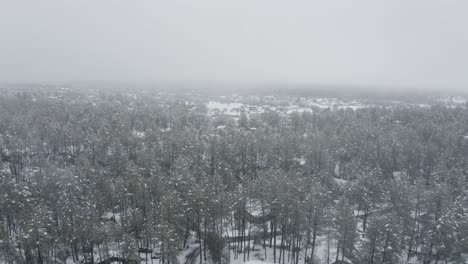 Aerial-shot-pulling-up-and-away-from-snow-covered-trees-in-Arizona