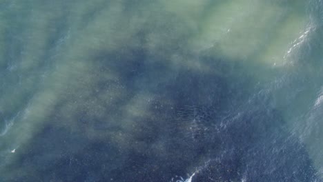 überkopfaufnahme-Des-Klaren-Blauen-Meeres-Mit-Wellen,-Die-Im-Tropischen-Nordqueensland-In-Australien-Plätschern
