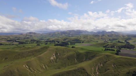 Endless-rolling-hills-of-Marlborough,-New-Zealand-in-bright-sunshine