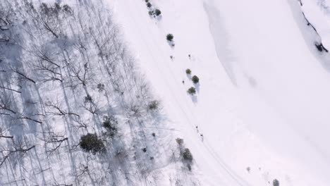 Toma-Aérea-De-Arriba-Hacia-Abajo-Muy-Ancha-De-Esquiadores-De-Fondo-Cruzando-Un-Campo-Nevado-En-Quebec,-Canadá