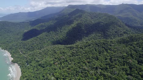 Exuberante-Selva-Tropical-De-Montaña-En-La-Costa-Australiana
