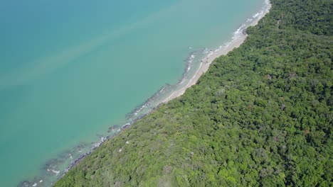 Wooded-Seaside-Of-Cape-Tribulation-In-Daintree-National-Park,-Queensland,-Australia