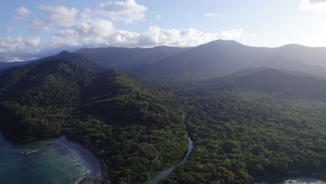 Abundante-Selva-Tropical-Del-Parque-Nacional-Daintree-En-Cape-Tribulation,-Norte-De-Queensland,-Australia