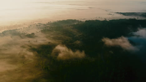 Majestic-sunlight-falling-on-forest-landscape-covered-with-mist-alongside-the-beautiful-lake,-Aerial-shot