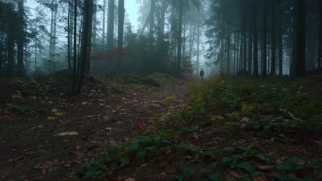 Dunkle-Figur,-Die-Im-Herbst-In-Einem-Unheimlichen-Dunklen-Waldwald-Spaziert