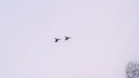 A-couple-walks-across-a-snowy-field-in-snowshoes,-as-the-drone-pans-around-them-and-flies-up,-revealing-trees-from-the-white-void