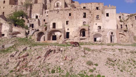 Three-donkeys-grazing-in-front-of-ghost-town-Craco,-Italy