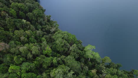 Lush-Green-Vegetation-And-Calm-Waters-Of-Lake-Eacham-In-Atherton-Tablelands,-QLD,-Australia---aerial-drone-shot