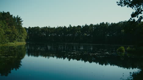 Cinematic-lakeside-forest-and-reflection-in-water,-Nõva,-Estonia