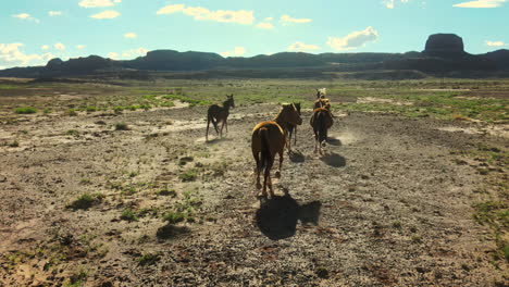 Wild-horses-in-Arizona:-Drone-flight-view