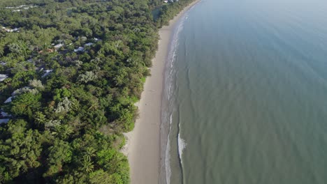 Aerial-View-Of-Dense-Trees-At-The-Tropical-Shore-Of-Four-Mile-Beach-In-Port-Douglas,-Far-North-QLD-Australia