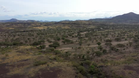 Desert-kenya,-africa-landscape-of-a-from-the-air-and-above-during-an-overcast-day-of-lots-of-trees