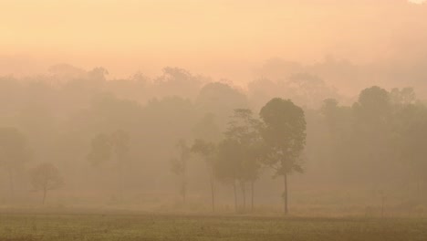 Goldene-Morgenstunden,-Wenn-Die-Sonne-In-Thung-Kamang-Im-Phu-Khiao-Wildschutzgebiet-In-Thailand-Aufgeht