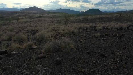 Desert-kenya,-africa-landscape-reveal-of-lone-single-tree