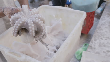 Slow-motion-footage-of-a-man-holding-an-octopus-up-for-inspection-off-the-coast-of-Italy
