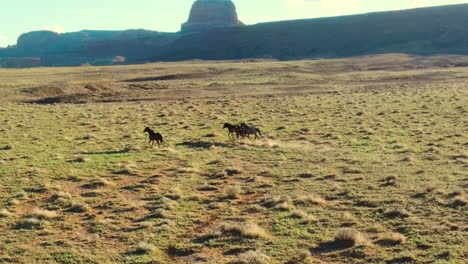 Drone-flight-view-of-wild-horses-in-Arizona's-wildlands