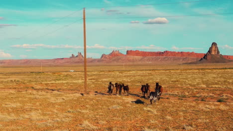 Drone-view-of-wild-horses-running-in-Arizona's-wildlands