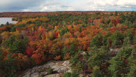 Blick-Hinunter-Auf-Den-Hügeligen-Wald-Mit-Atemberaubenden-Herbstfarben