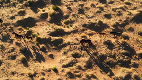 Die-Ansicht-Einer-Drohne-Von-Wilden-Pferden-In-Arizona