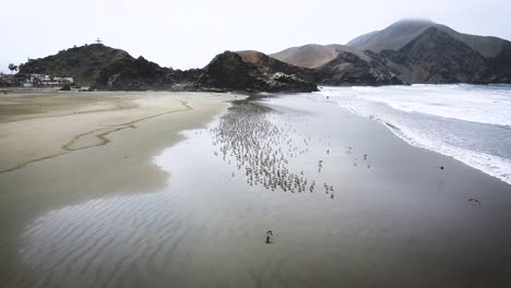 Flock-of-birds-fly-away-as-waves-crash-onto-shore-near-Lima,-Peru