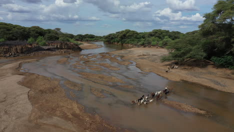 Desert-kenya,-africa-landscape-of-a-goats-crossing-the-river-during-daytime-on-a-hot-summer-day