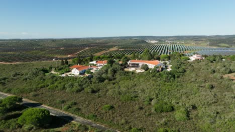 Beautiful-Portuguese-resort-in-the-countryside-with-vineyards