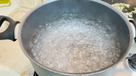 Kochendes-Wasser-Auf-Einem-Topf-Und-Geschmorte-Zwiebel-Für-Eine-Hausgemachte-Mahlzeit