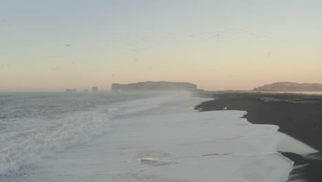 Dolly-forward-aerial-shot-over-Icelandic-black-sand-beach-as-birds-fly-overhead