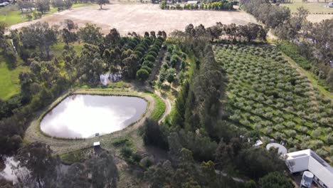 Drone-aerial-pan-from-organic-permaculture-to-arid-agricultural-land