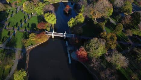 Rising-aerial-view-above-Boston-public-garden-bridge-surrounded-by-Autumnal-park-trees-and-foliage
