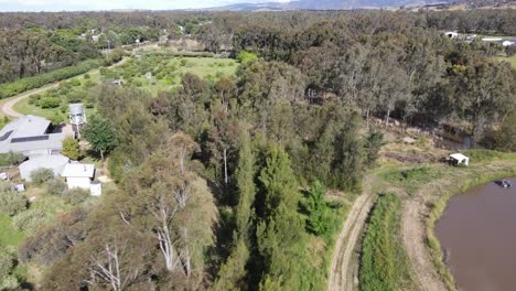 Drone-aerial-pan-up-over-tree-line-on-a-permaculture-farm-with-a-dam-in-Victoria