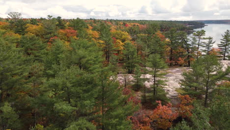 Colorful-autumn-forest-in-Killbear-Provincial-Park