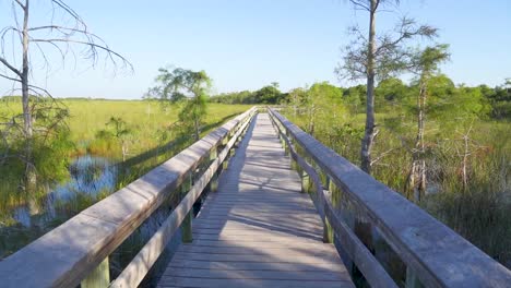 Long-Wooden-Walkway-over-swampy-wetlands-in-Everglades-National-Park-Florida