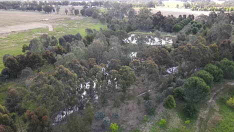 Drohnenantenne-über-Australischer-Permakulturfarm-Und-Bäumen-Mit-Dämmen