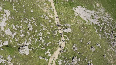 Aerial-top-down-shot-of-hiker-group-walking-on-rocky-path-between-green-mountains-in-summer---tilt-up-shot-with-hut-and-blue-sky