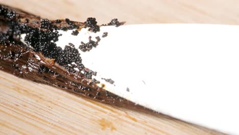 Kitchen-knife-collecting-Vanilla-seeds-in-pods,-Macro-detail-shot-shot