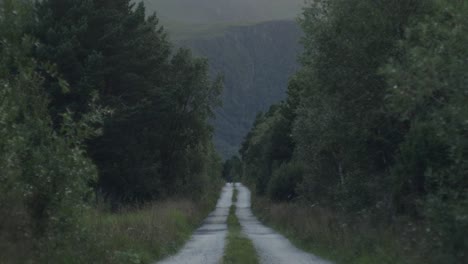 Cyclist-on-a-touring-bike-approaching-from-afar-on-a-desolate-gravel-road-in-the-forrest-in-Norway,-Scandinavia-in-heavy-wind