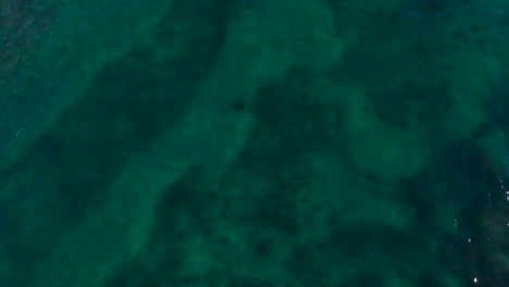 drone-view-of-Carlsbad-reef