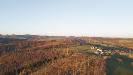 Aerial-fly-over-logged-and-damaged-forests-at-sunset-in-Germany