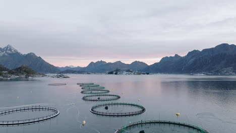 Salmon-fish-farm-off-the-coast-of-Norway,-Aerial-drone-farm