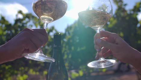 In-a-vineyard,-two-glasses-with-white-wine-making-a-toast