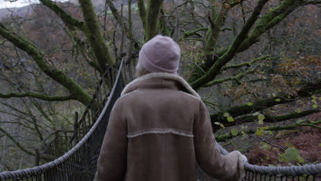 Female-walking-across-natural-bridge-on-treehouse